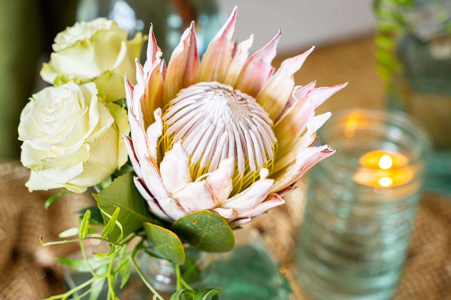 Flor protea para boda en Estepona